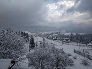 Приватна садиба "Гірський затишок" - 8