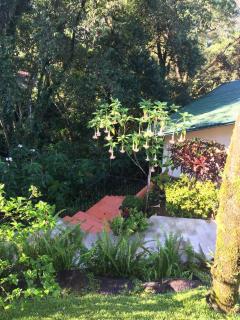 Mango Tree Villas - Coronado - 1