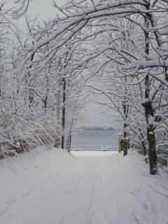 Guest House Bole - 9