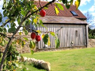 Plum Tree Cottage - Witton le Wear - 8