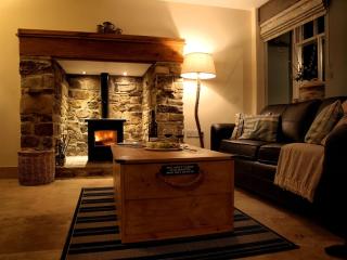 Plum Tree Cottage - Witton le Wear - 9