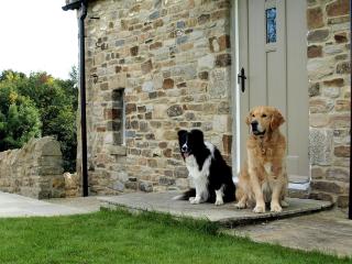 Plum Tree Cottage - Witton le Wear - 6