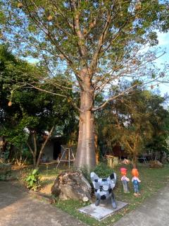 Nung Ni Bang Khon Thi Resort - 3