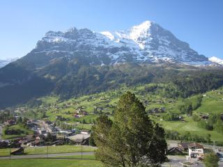 Chalet Aiiny - Grindelwald - 6