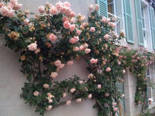 Chateau de la Rue - Cour-sur-Loire - 8