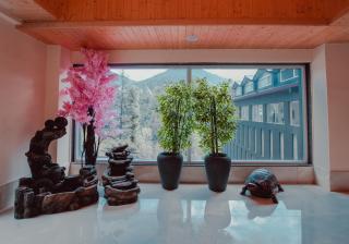 Hotel Nature Valley - Dalhousie - 6