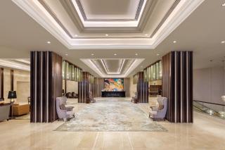 Pride Plaza Hotel, Aerocity New Delhi - 8
