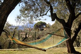 La Villa dell'Olio - Massa Lubrense - 6