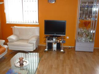Nueva Fiesta Apartment - Mariánské Lázně - 6