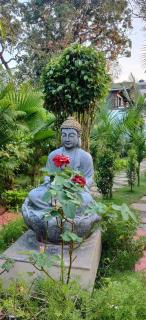 JP Resort - Arambol - 6