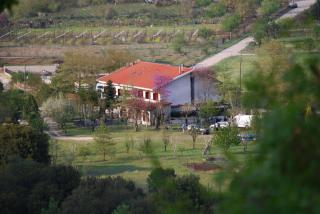 Hotel Faraggi - Kleidonia - 7