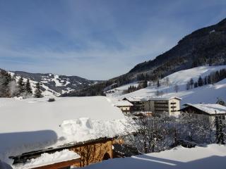 Familien- & Gartenhotel Theresia 4-Sterne Superior - Saalbach-Hinterglemm - 8