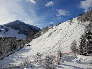 Familien- & Gartenhotel Theresia 4-Sterne Superior - Saalbach-Hinterglemm - 2