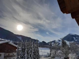 Familien- & Gartenhotel Theresia 4-Sterne Superior - Saalbach-Hinterglemm - 4