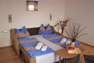 Garni Hotel Villa Tamara - Moravske-Toplice - 8