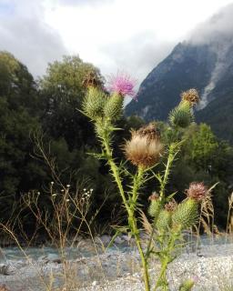 CASA DEL CHICO dolomiti agordine - Taibon - 7