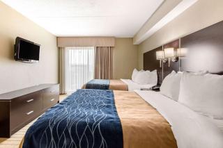 Comfort Inn Airport West - Mississauga - 5