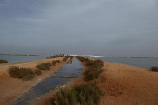 Sea View lo pagan - 1