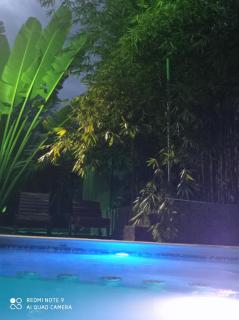 Palmas de Chahue - 9