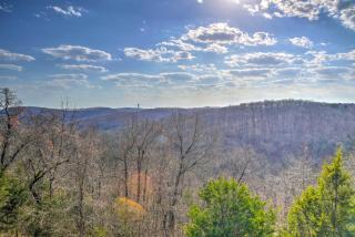 Ozark Mountain Condo about 2 Mi to Silver Dollar City! - Branson - 3