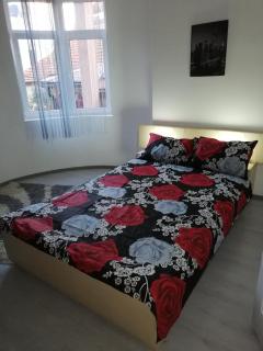 Andrina Sweet Home - Niš - 1