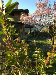Vitori's House Tourist Accommodation - Ahedo - 6