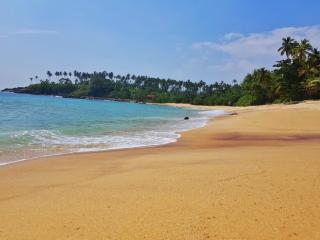 The Nest - Tangalle - 0