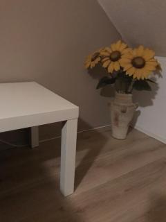 B&B Holiday-44 - Enkhuizen - 8