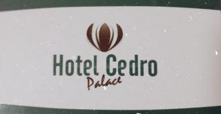 Hotel Cedro Palace - São José do Cedro - 9