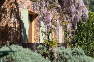 Domaine Codaleone - 4