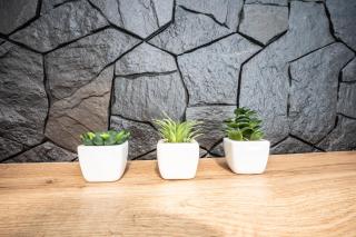 NEW Apartament GREEN Warszawa PARKING Free - 9