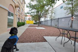 Days Inn & Suites by Wyndham Airport Albuquerque - Albuquerque - 1