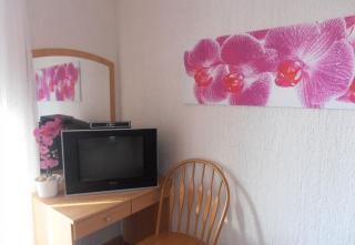 Apartment Dragica - 1