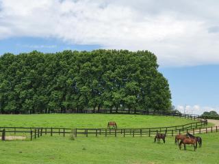 Invermooi Estate - Nottingham Road - 1