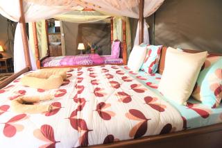 Mara Duma Bush Camp - Talek - 8