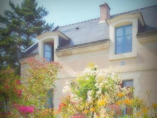Les Roses de Montherlant - Montherlant - 6