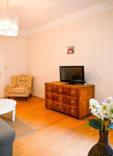 Bright Apartment Schönbrunn Palace - Viena - 5