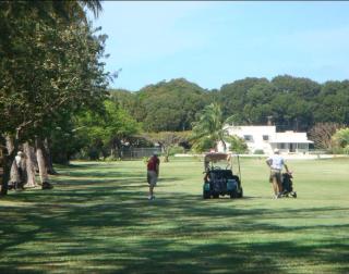 230 GG Rockley Barbados - Bridgetown - 5