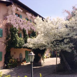 Casa Violetta B&B - 5