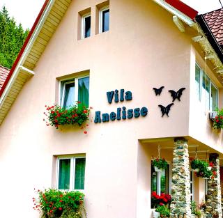 Anelisse Inn - Moieciu de Sus - 3