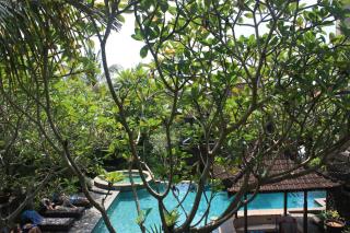 Ubud Bungalow - Ubud - 9