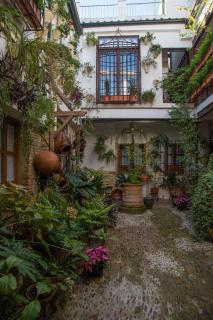 La Sultana Apartamentos - Córdoba - 3