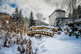 Hotel Radium Palace - Jáchymov - 6