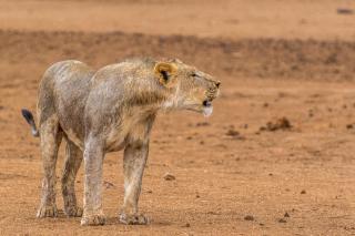 Hobatere lodge - 3