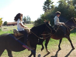 Hotel Haras Casacampo - Quintero - 2