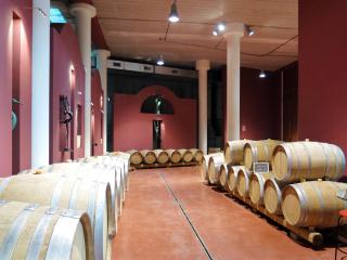 Apartment Le Palaie - 'Oliveto' by Interhome - Molino Mazzetti - 2