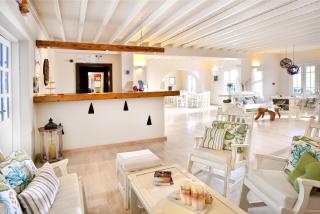Erato Hotel Mykonos - Ornos - 3