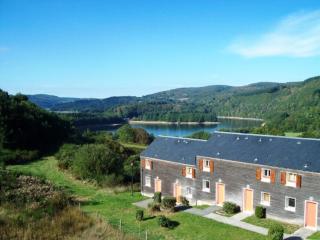Appartement charmant à La Salvetat-sur-Aout 50 m² avec jardin - La Salvetat - 9