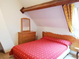 Appartement charmant à La Salvetat-sur-Aout 50 m² avec jardin - La Salvetat - 8