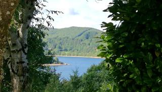 Appartement charmant à La Salvetat-sur-Aout 50 m² avec jardin - 2